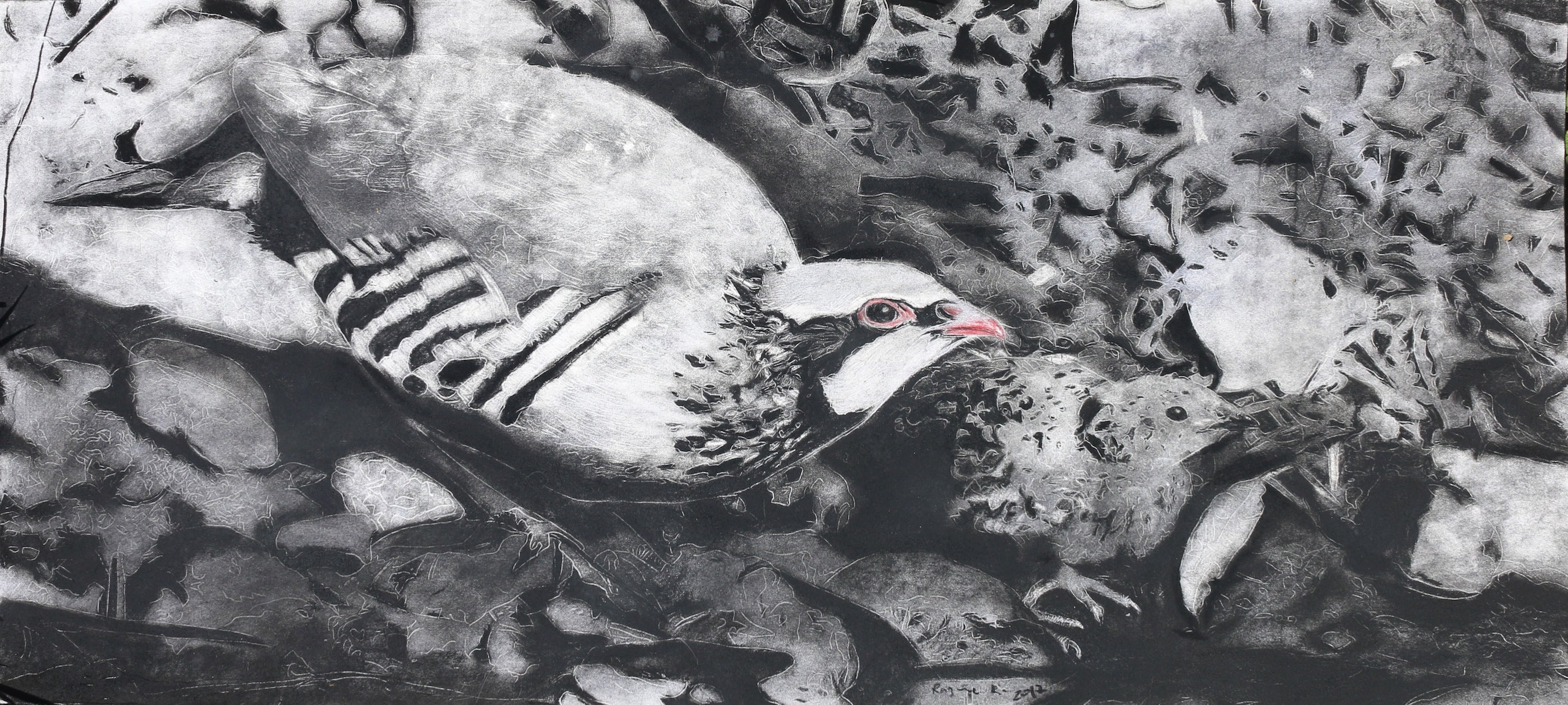 Night Flight - Partridge Is No Easy Prey