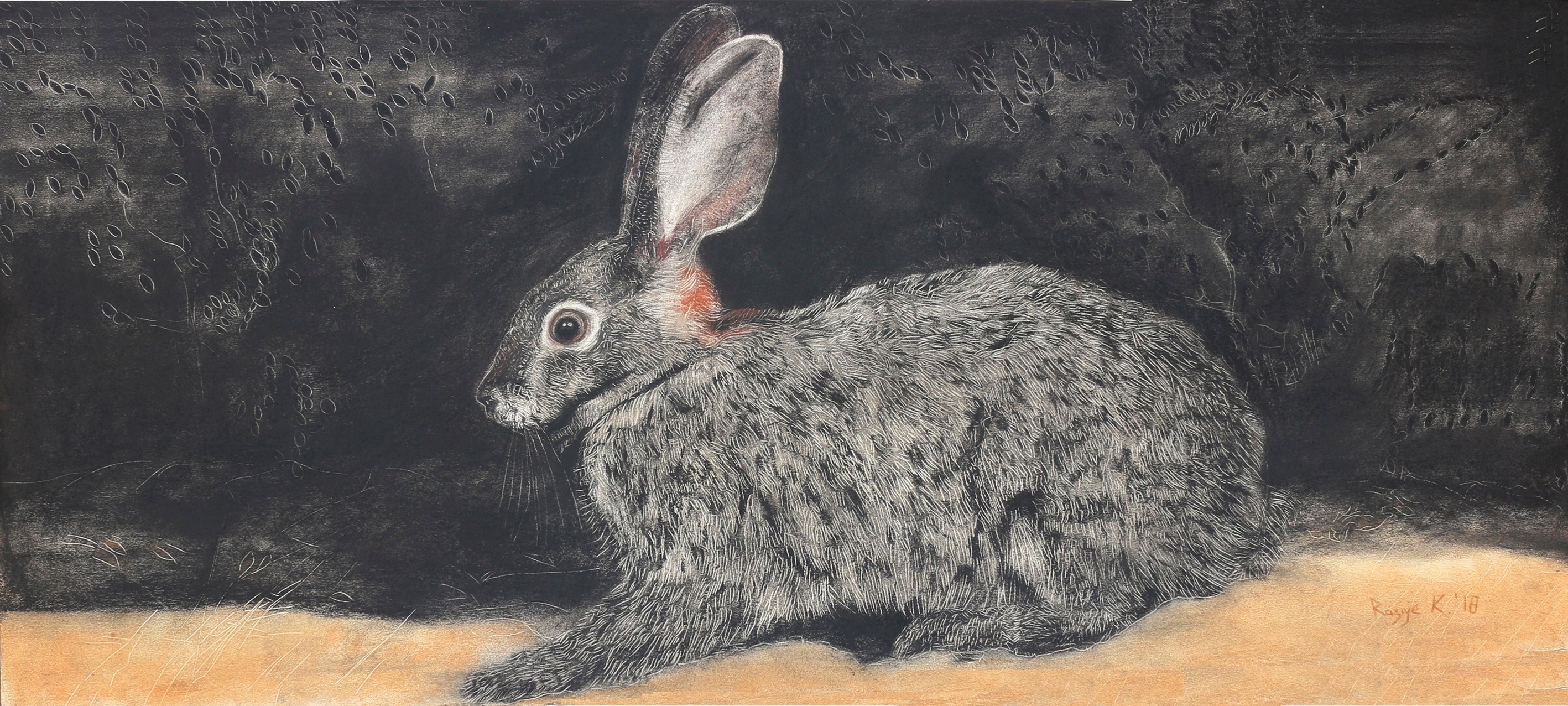 Night Flight - Fearful Stare at the Flashlight