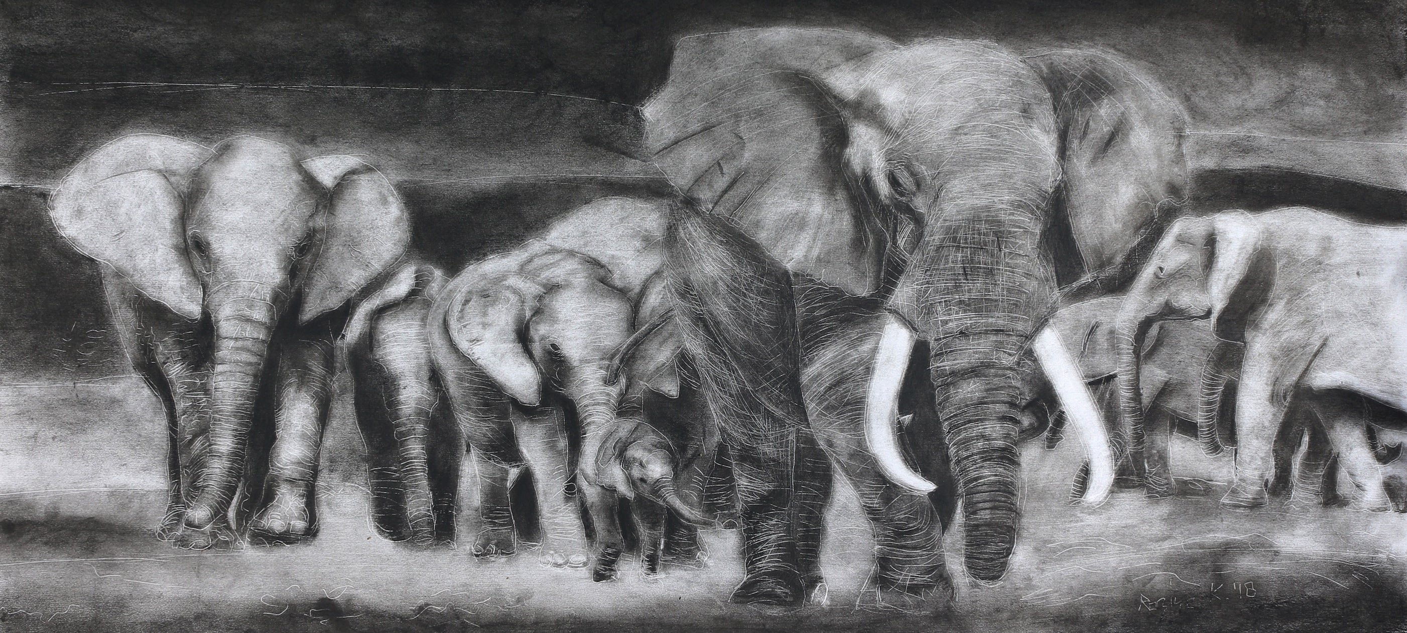 Night Flight - In the Night of the Jungle