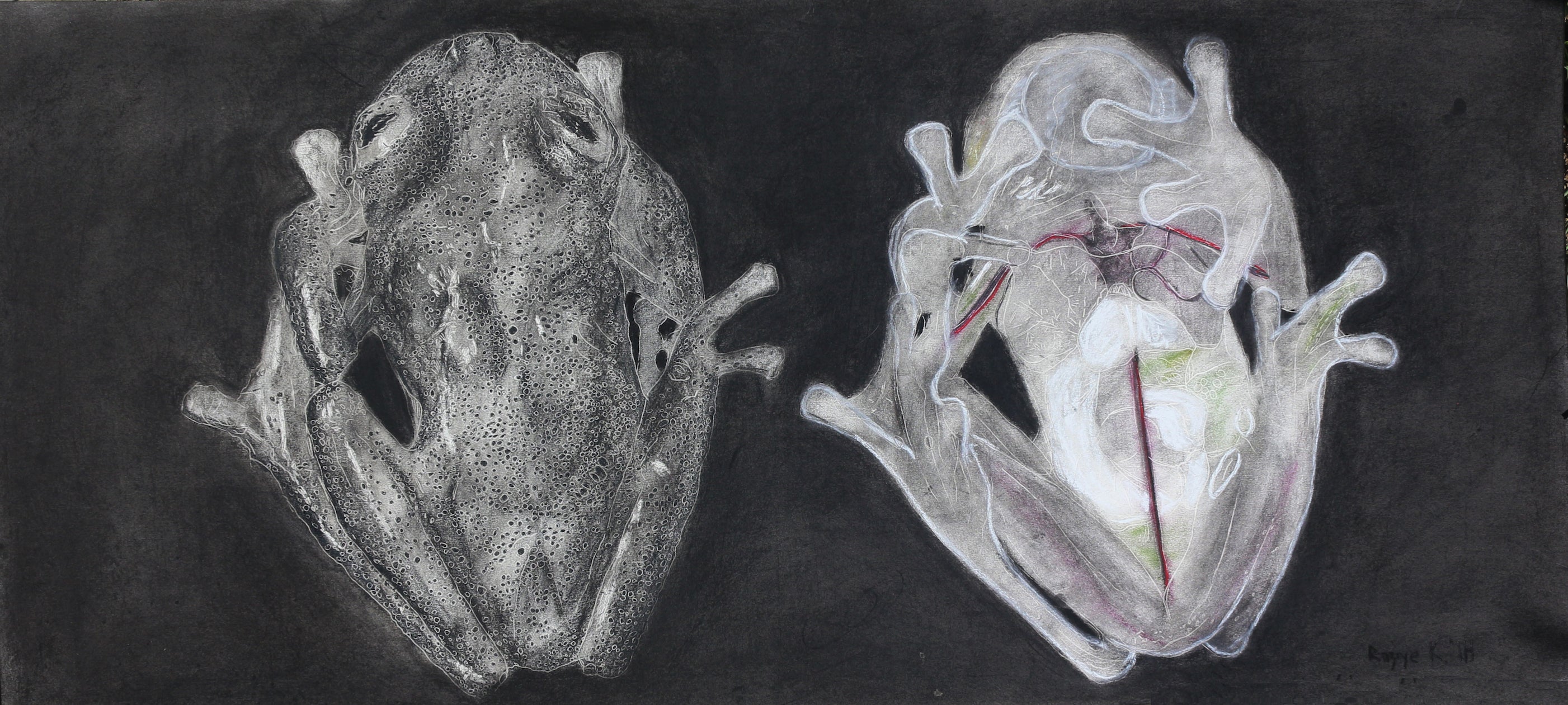 Night Flight - As Within So Without