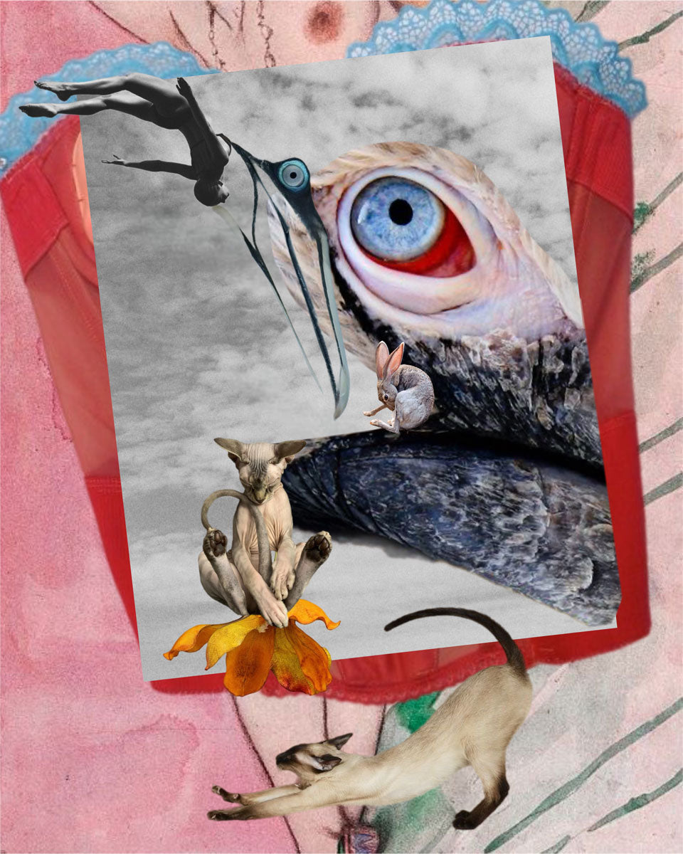 How To Start A New Life