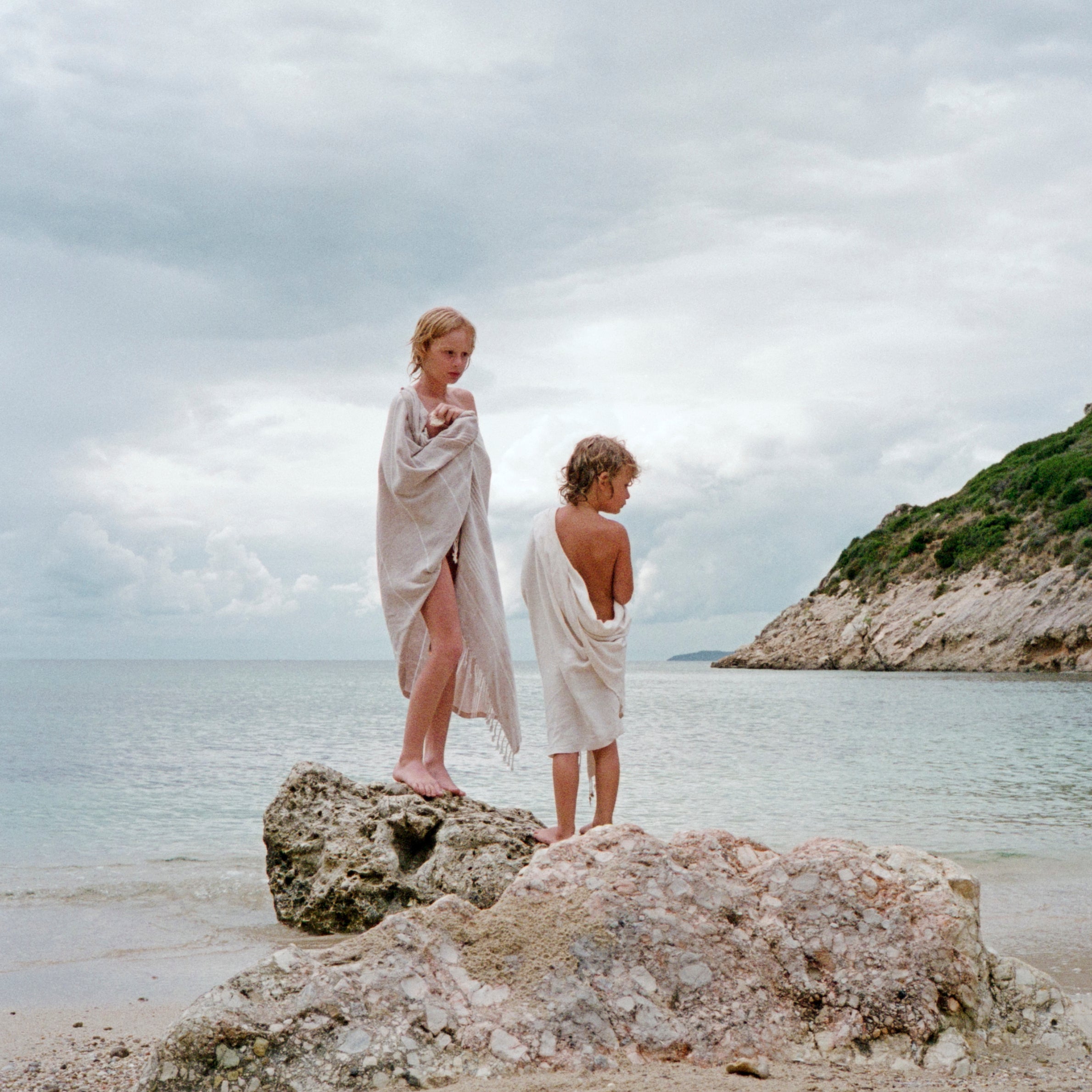 Follow The Butterfly