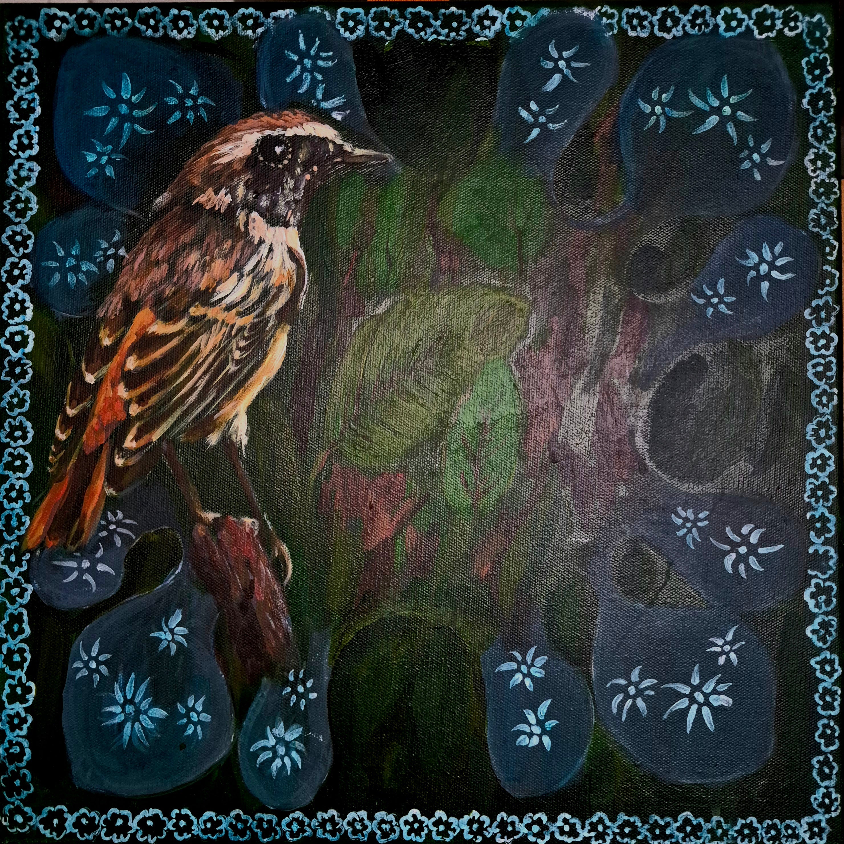 Mendilimde/Kızılkuyruk