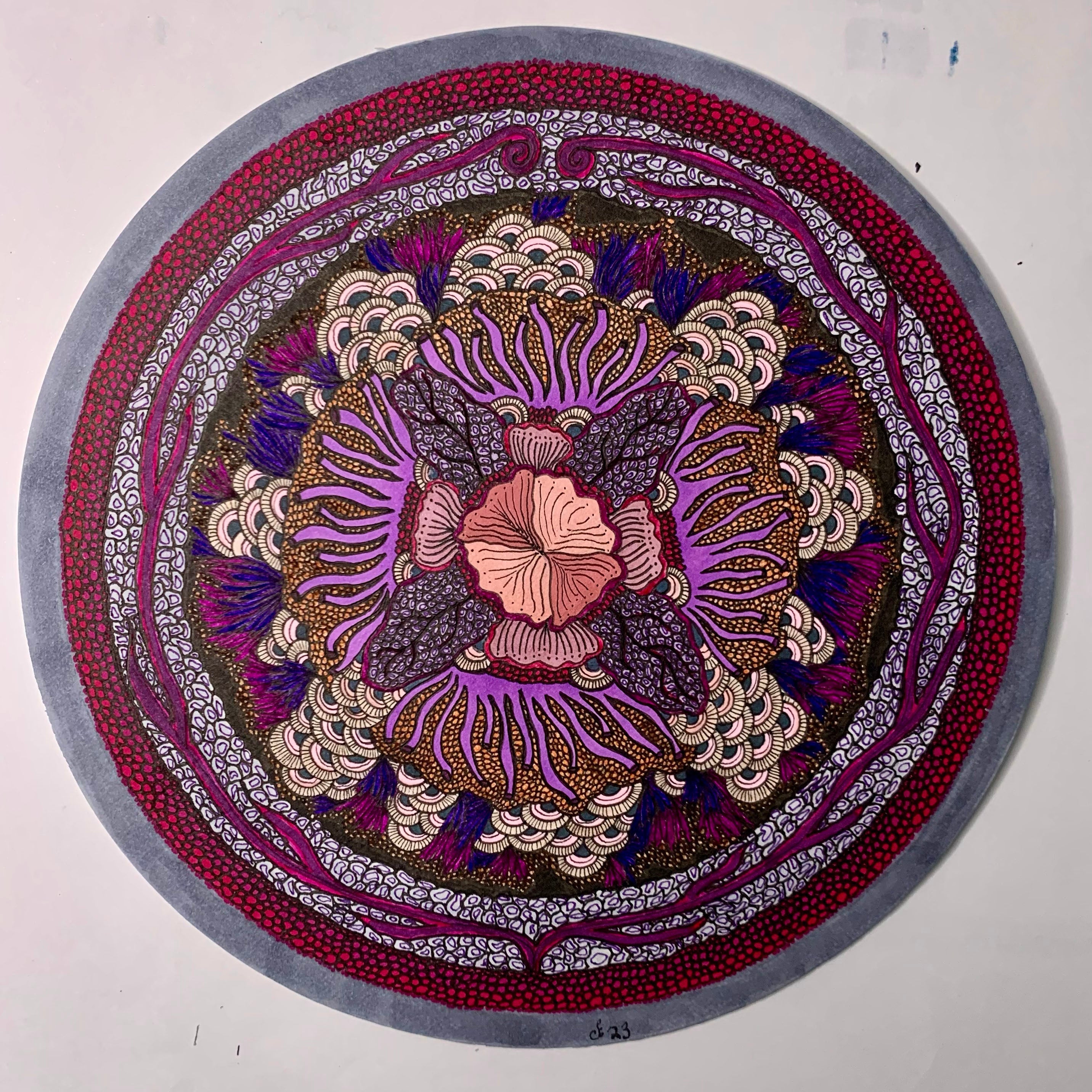 Pink Coral