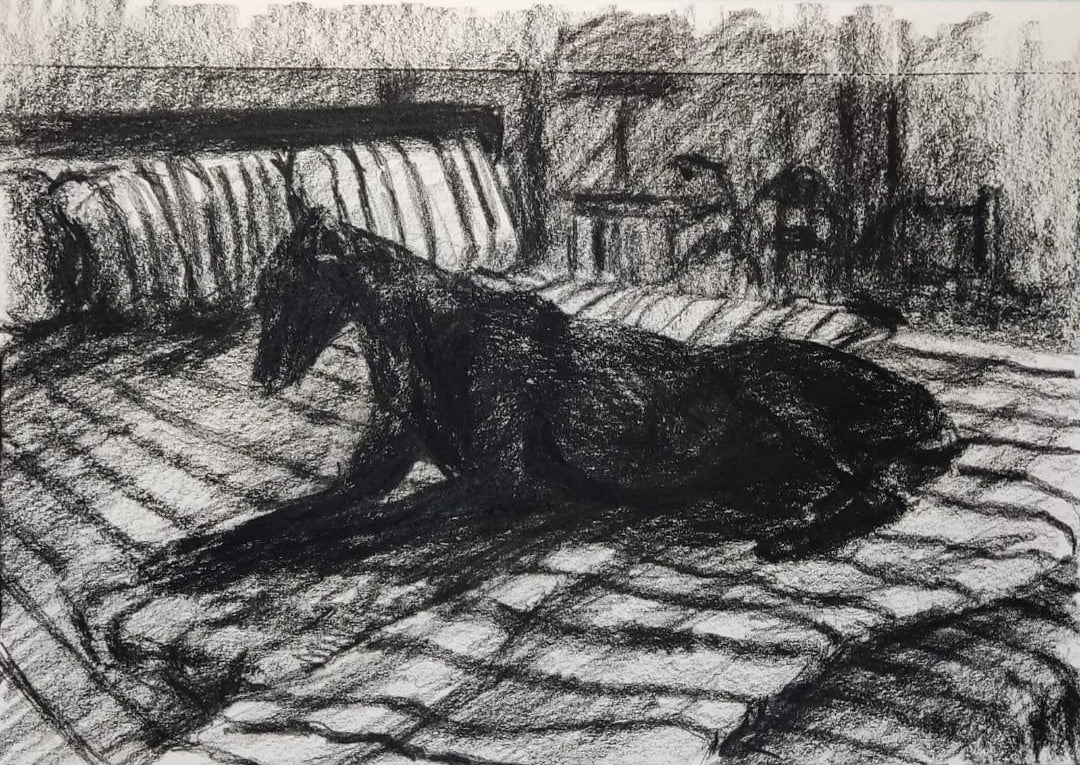 ‘Dünyada Kara Bir Köpek Olmak’
