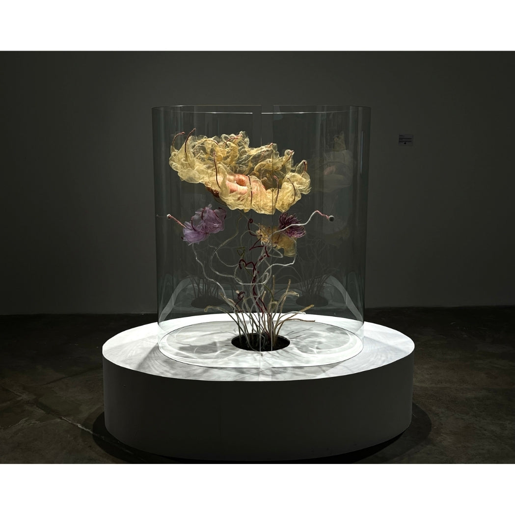 At The Borders Of Perception