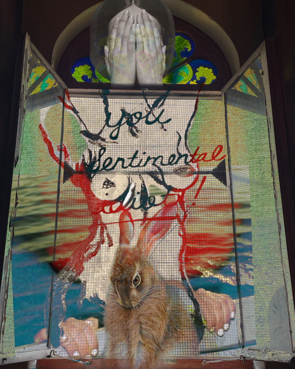 You Sentimental Idiot