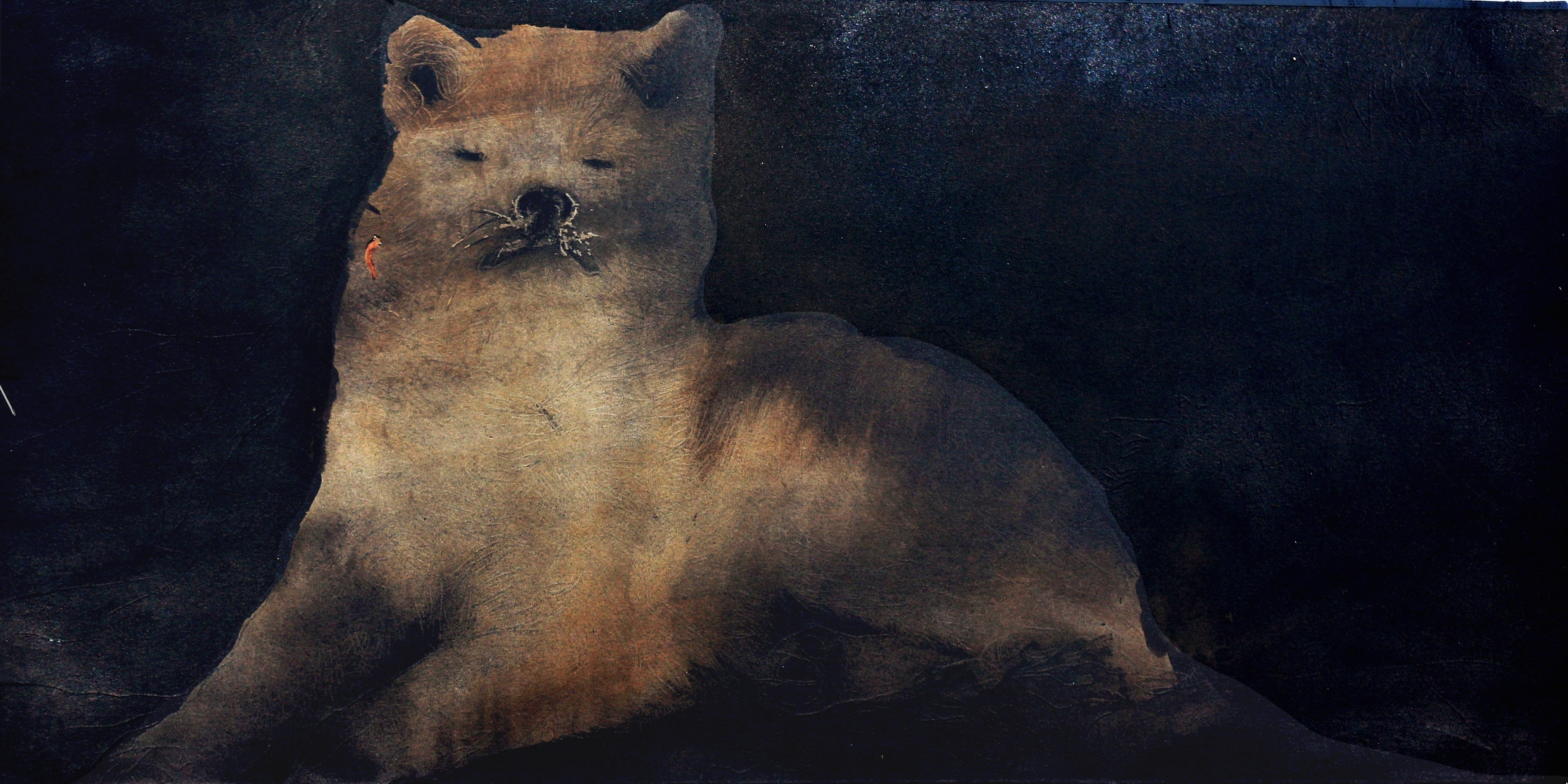 Night Flight - Interpreted Logins 4 - This Cute Beast Sat Next to Me When I Was Very Afraid of