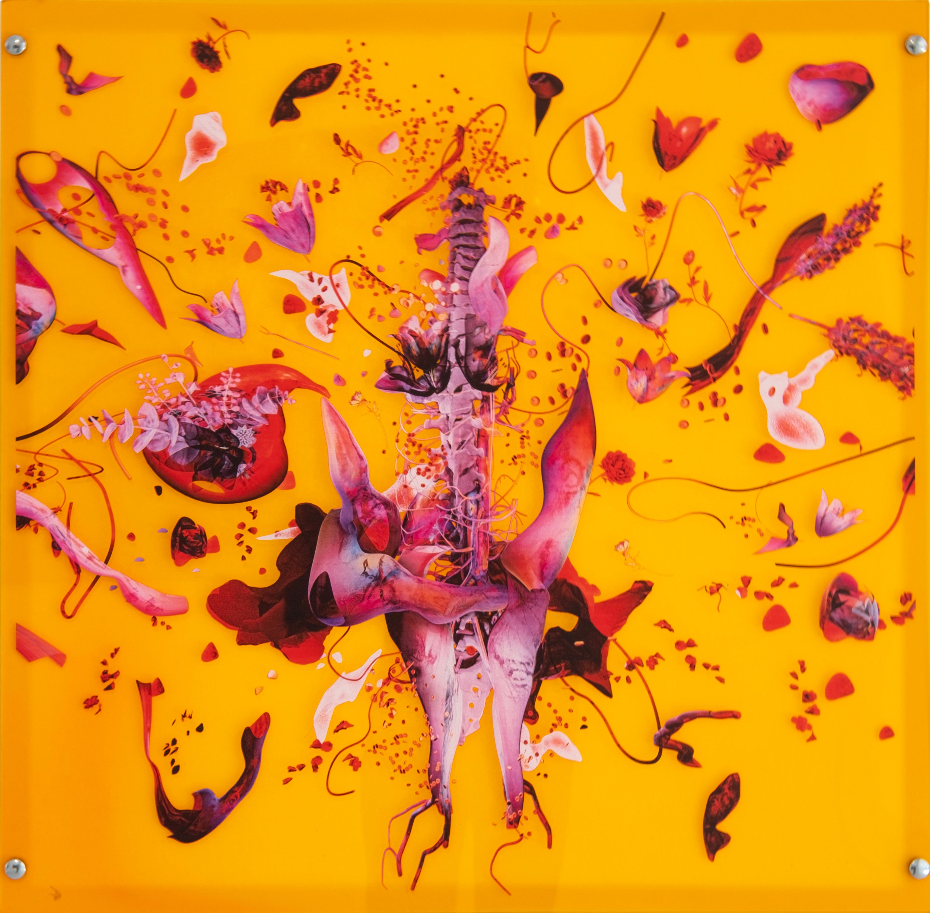 Uterus III