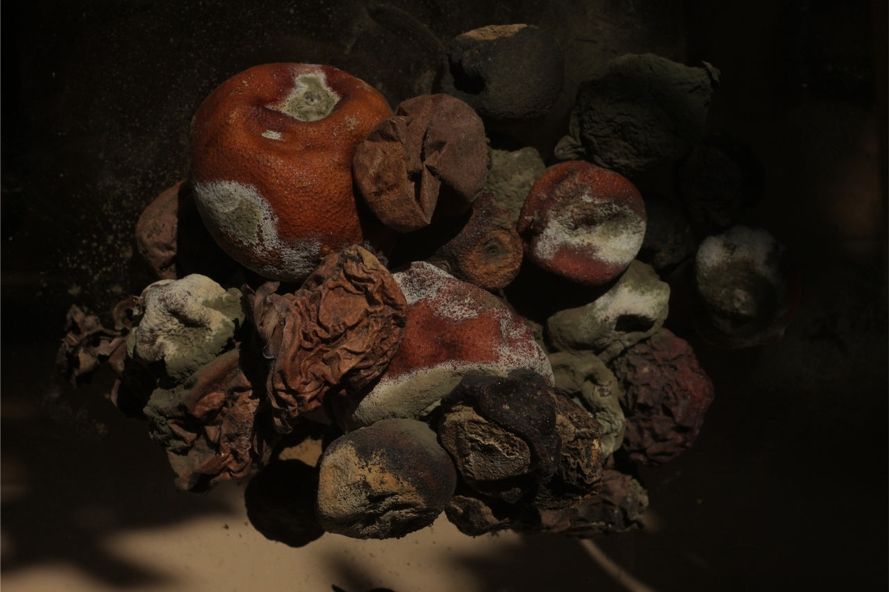Naturemorte