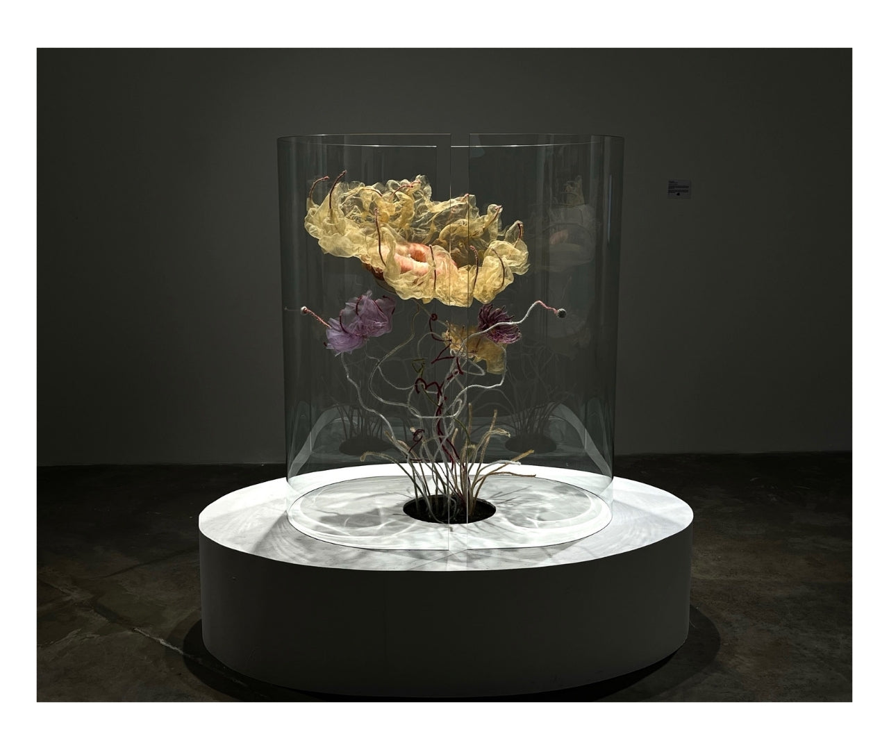 At The Borders Of Perception