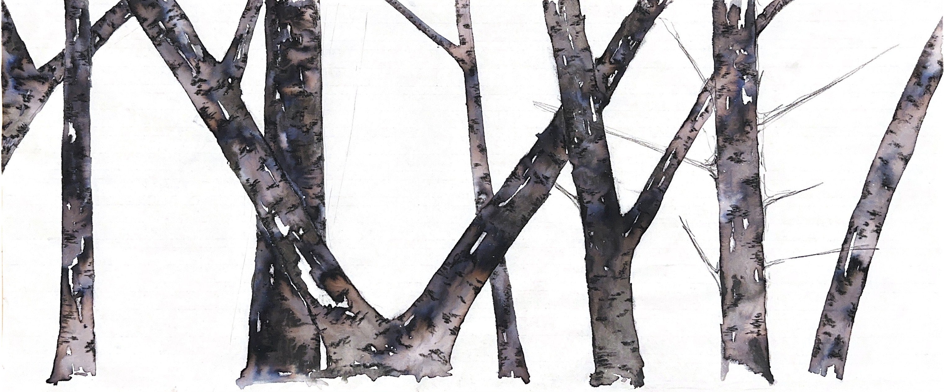 Birches 2