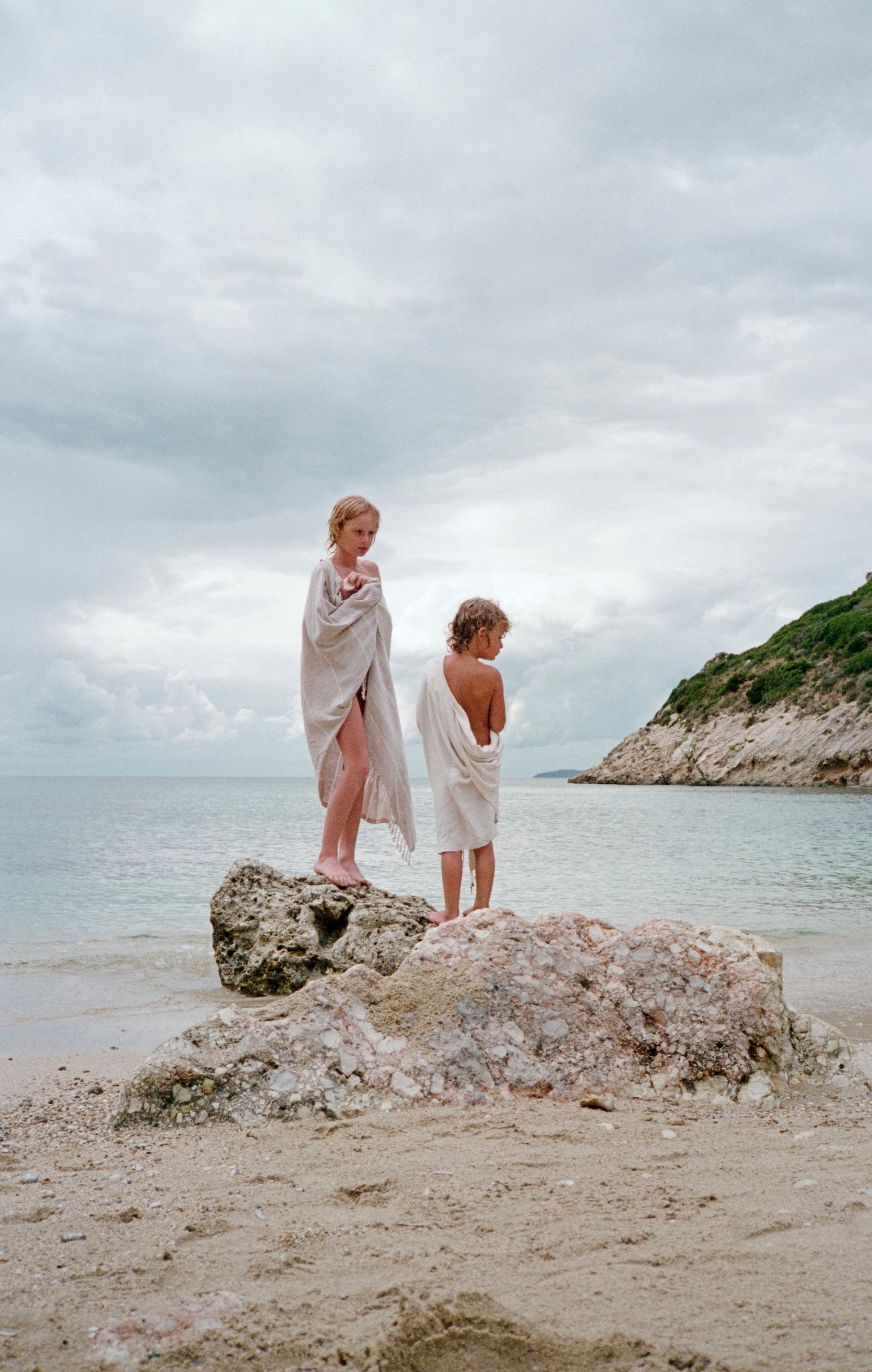 Follow The Butterfly