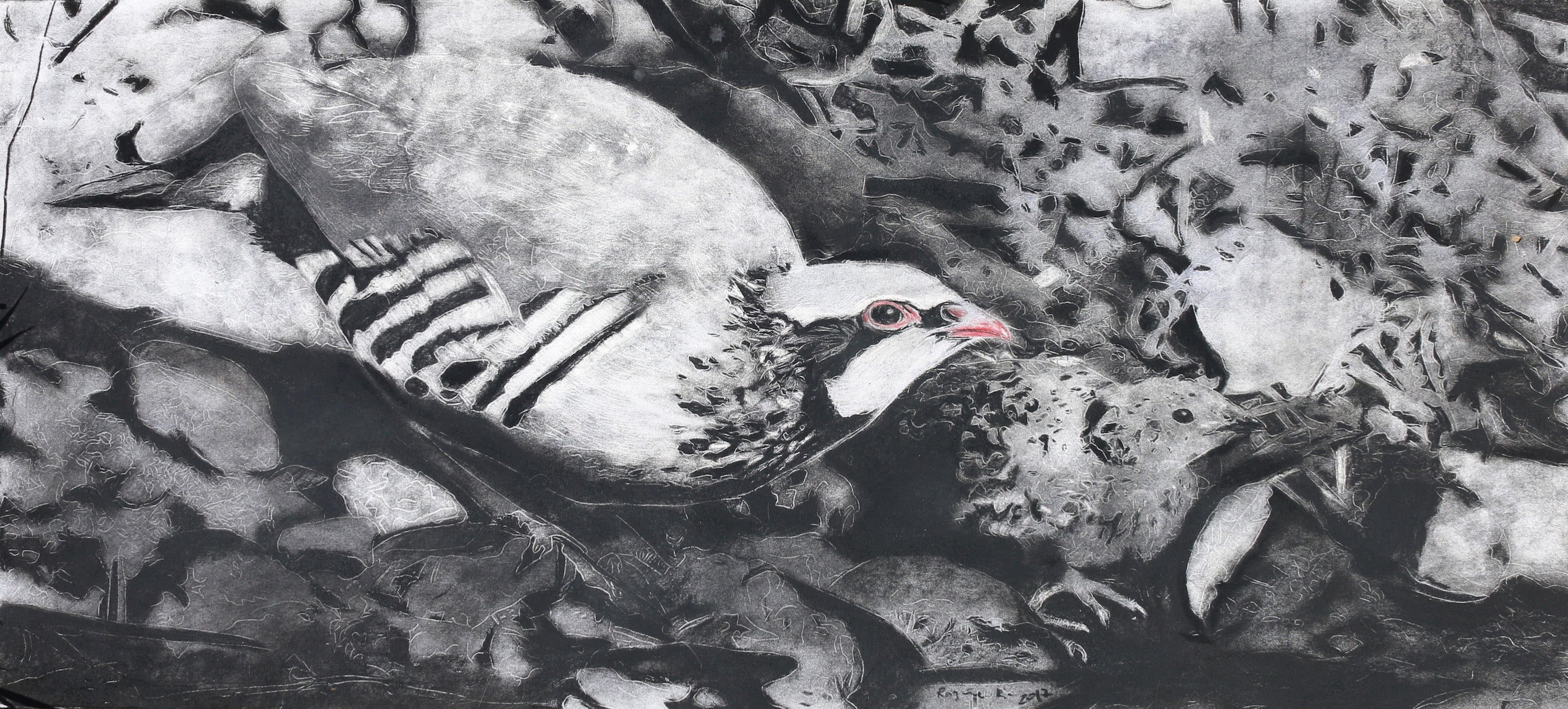 Night Flight - Partridge Is No Easy Prey