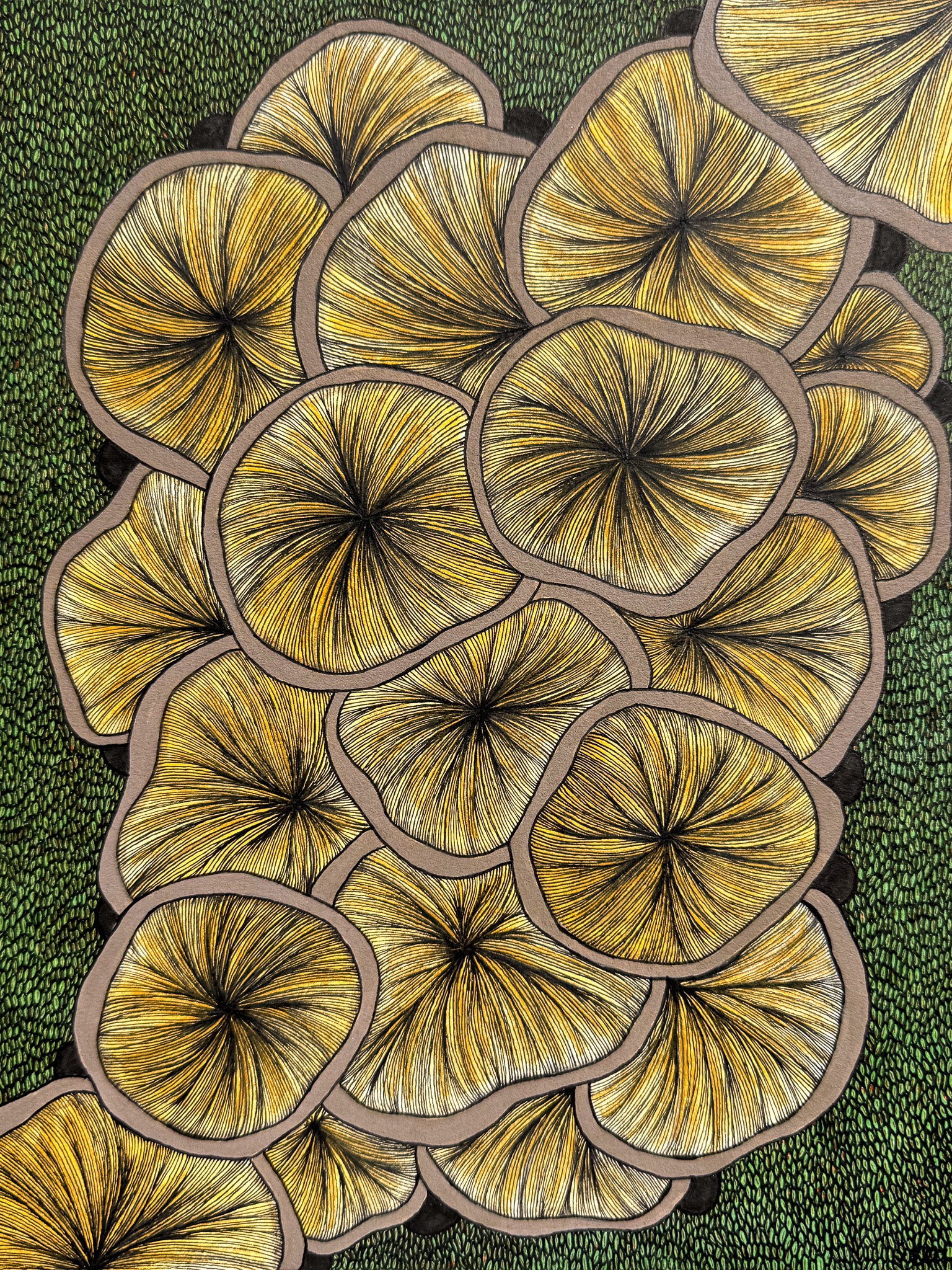 Fungi Gills